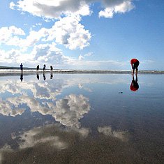 Explorica Students on Ireland Coast
